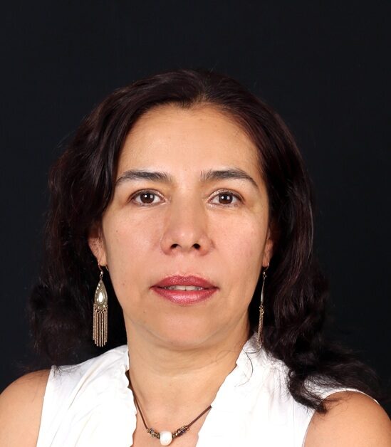 Profesora de la Facultad de Ingeniería de la UNAM